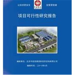 廣告服務(wù)項目可行性研究報告