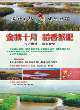 游客雜志廣告服務(wù) 連接全球旅行者，點亮品牌旅程